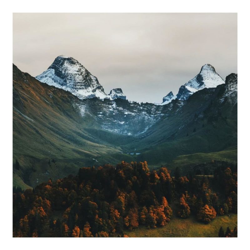 The falling leaves drift by my window The autumn leaves of red...