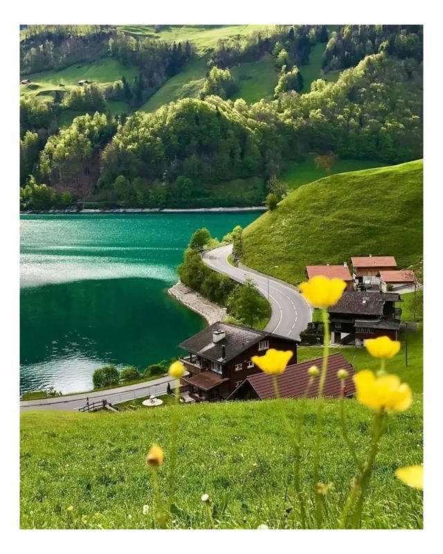 If you're not barefoot, then you're overdressed🐾 The ultimate feeling of Summer☀️💛...